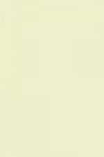 FARROW AND BALL TUNSGATE GREEN NO. 250 PAINT